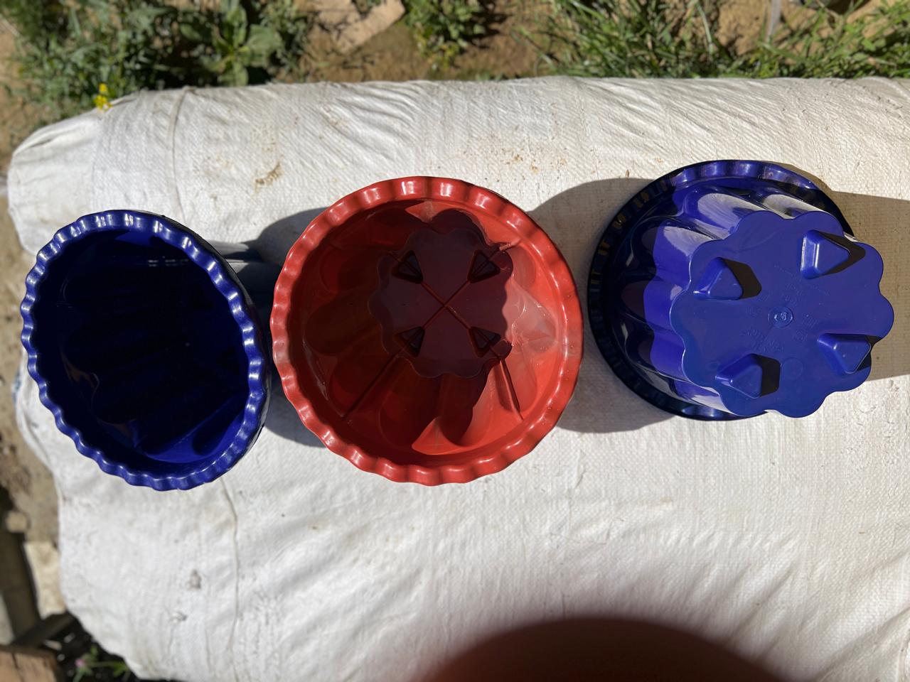 Flower Pot 20 Rs