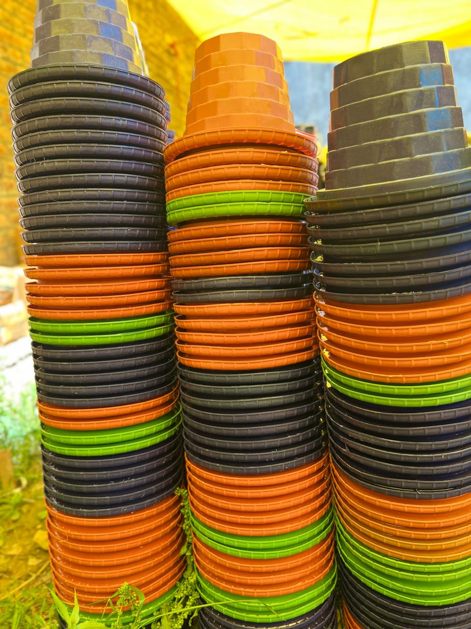 Flower Pot 20 Rs